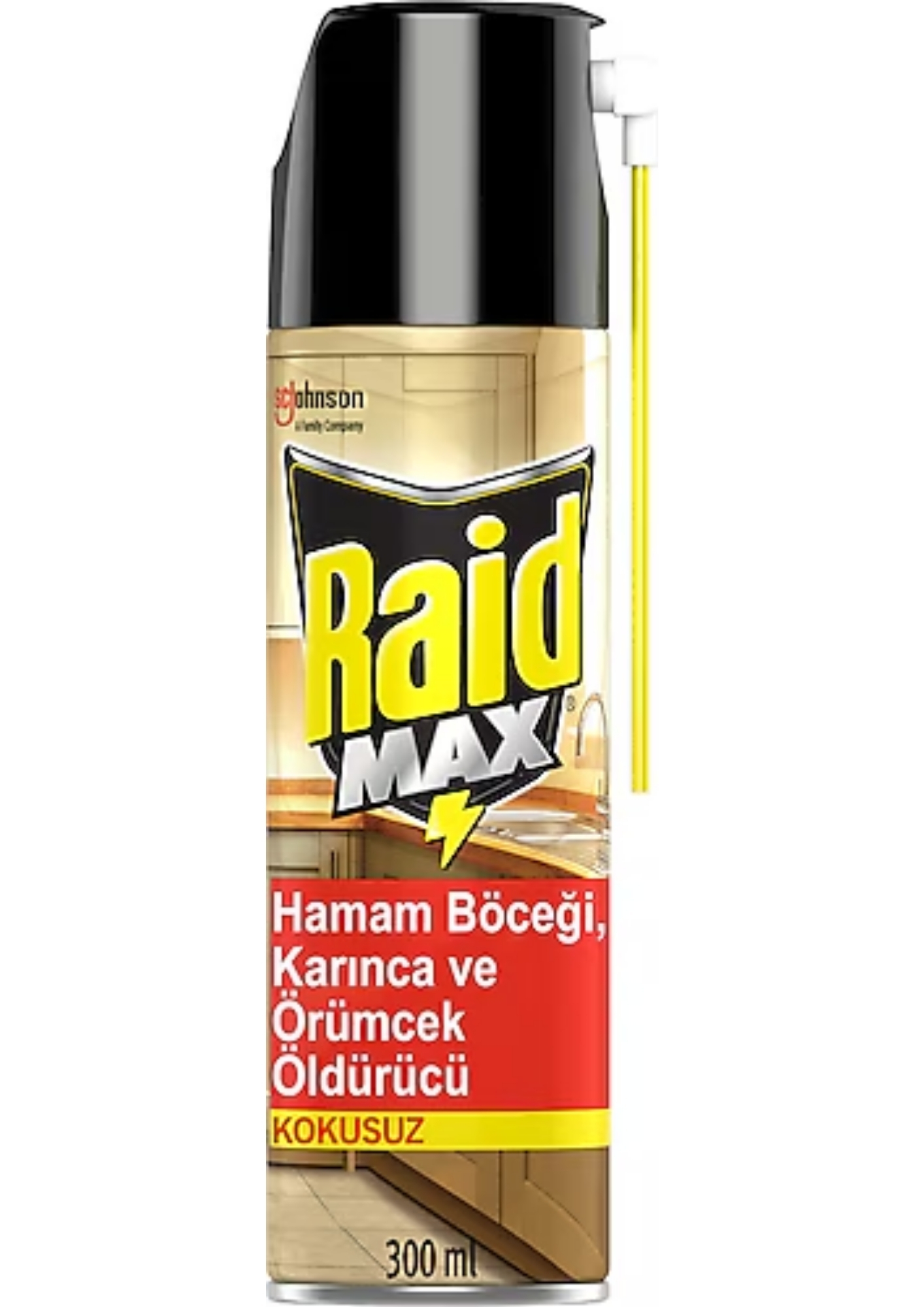 RAİD MAX BÖCEKSAVAR SPREY 300 ML
